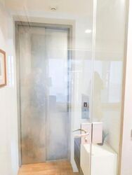 The Peak @ Cairnhill II (D9), Apartment #618856821
